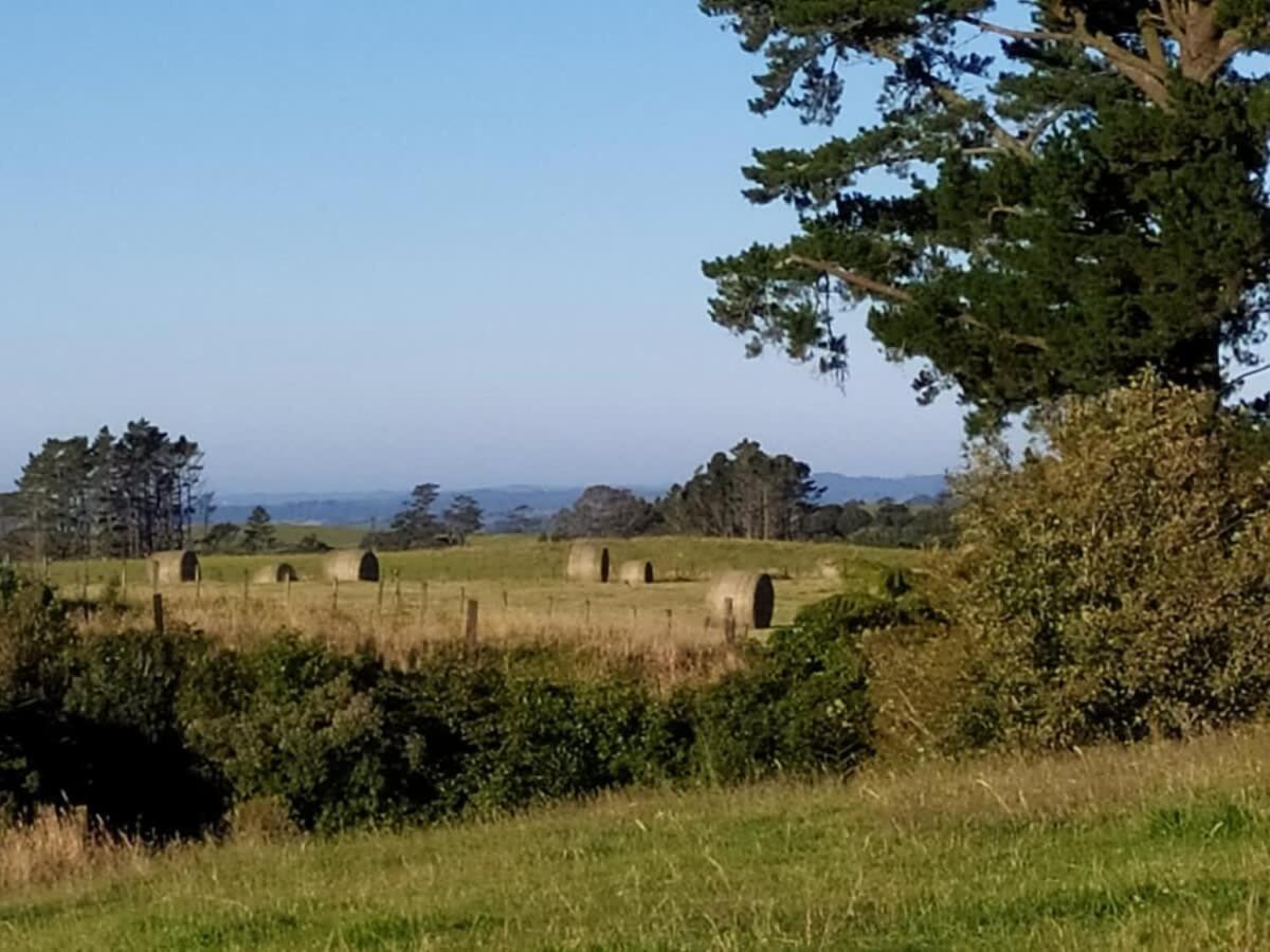 Taranaki Creekside Kea By Tiny Away Βίλα Stratford Εξωτερικό φωτογραφία