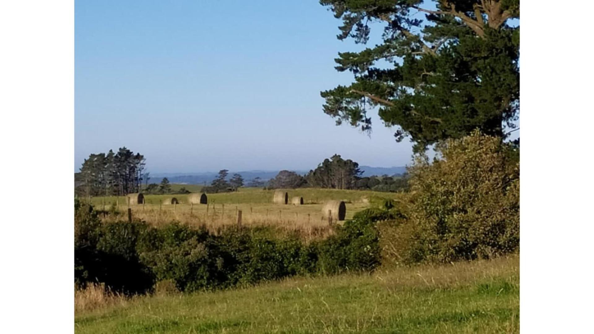 Taranaki Creekside Kea By Tiny Away Βίλα Stratford Εξωτερικό φωτογραφία
